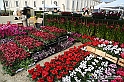 VBS_6626 - FLOREAL Ottobre 2022 - Tre giorni di fiori, piante e bellezza
